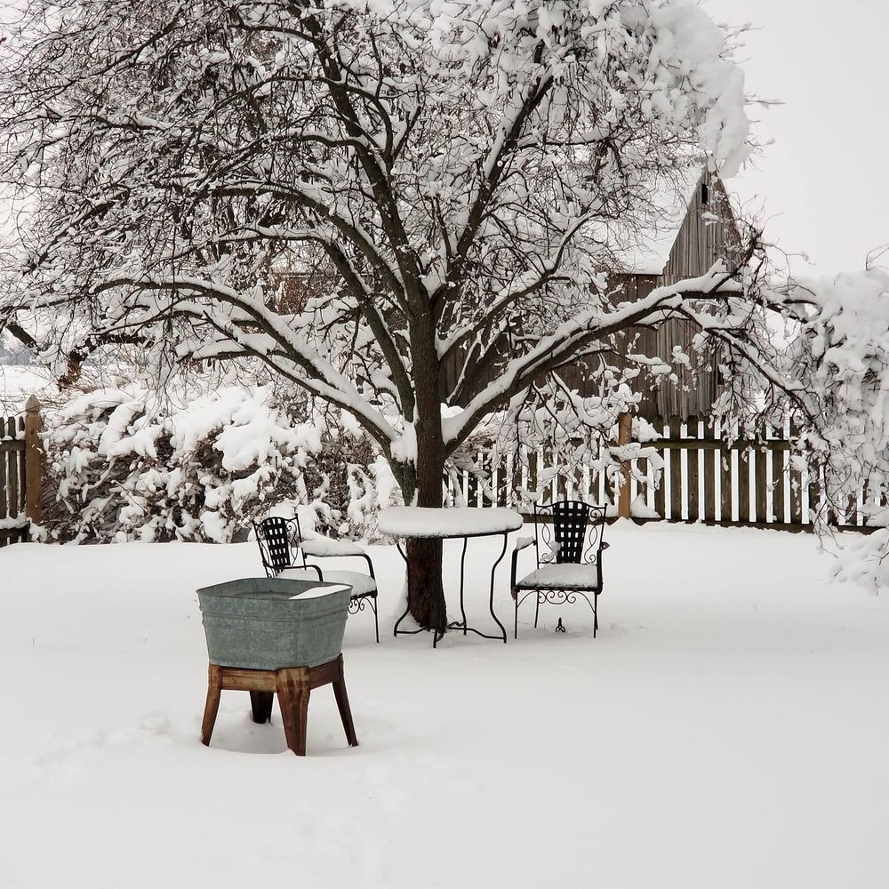 Meet your Posher, Debbie